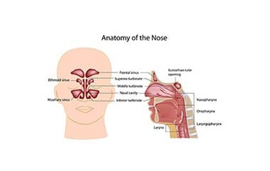 Nasal-Obstruction