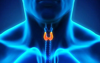 Thyroid-Cancer